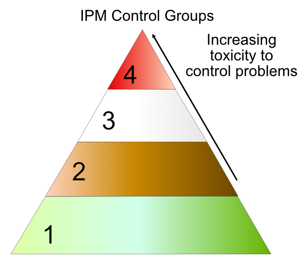 example of IPM control group triangle