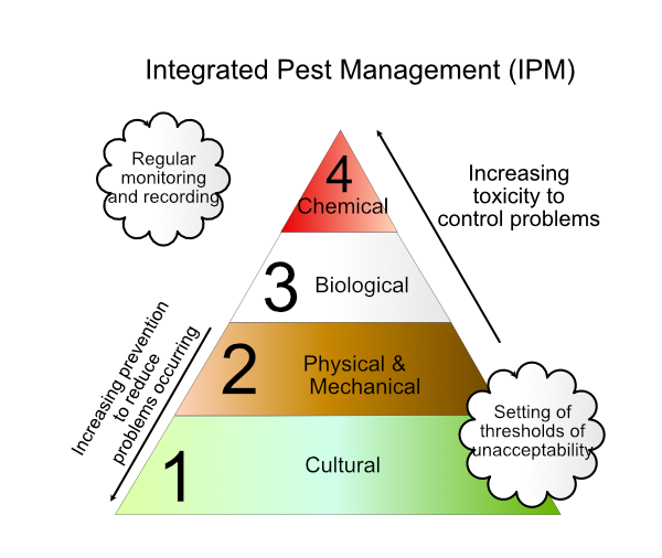 example of IPM control group triangle