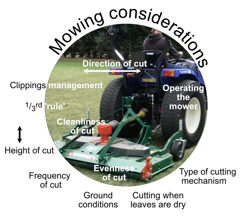 Mowing considerations