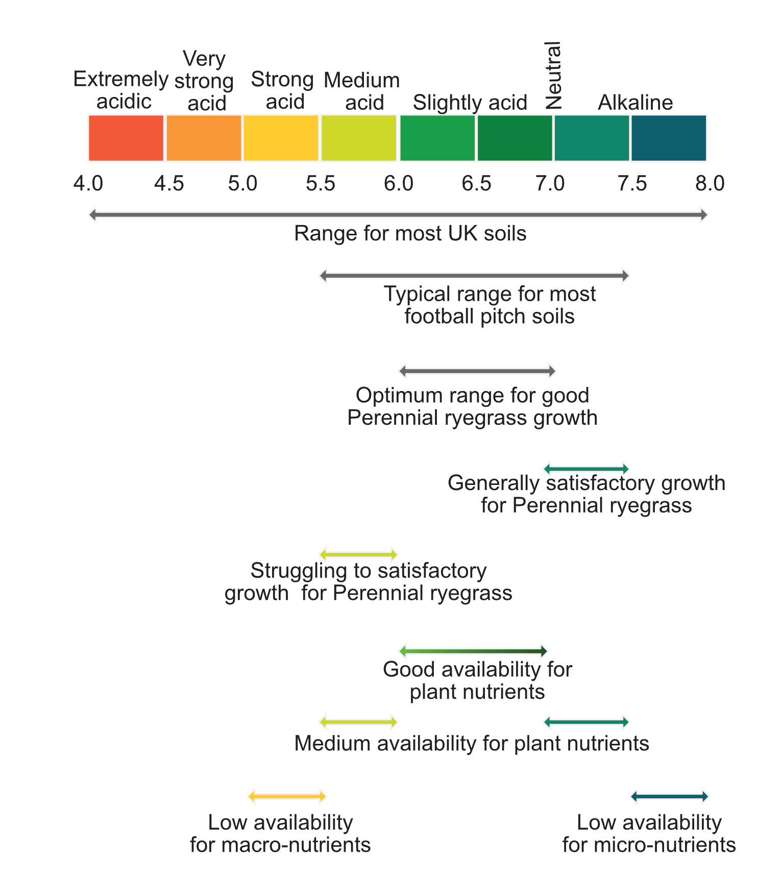 pH scale