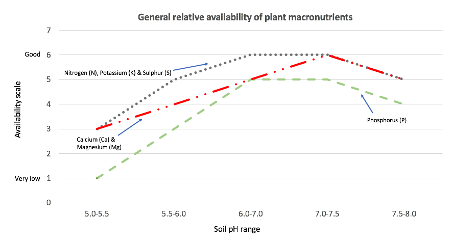 Macronutrient availability