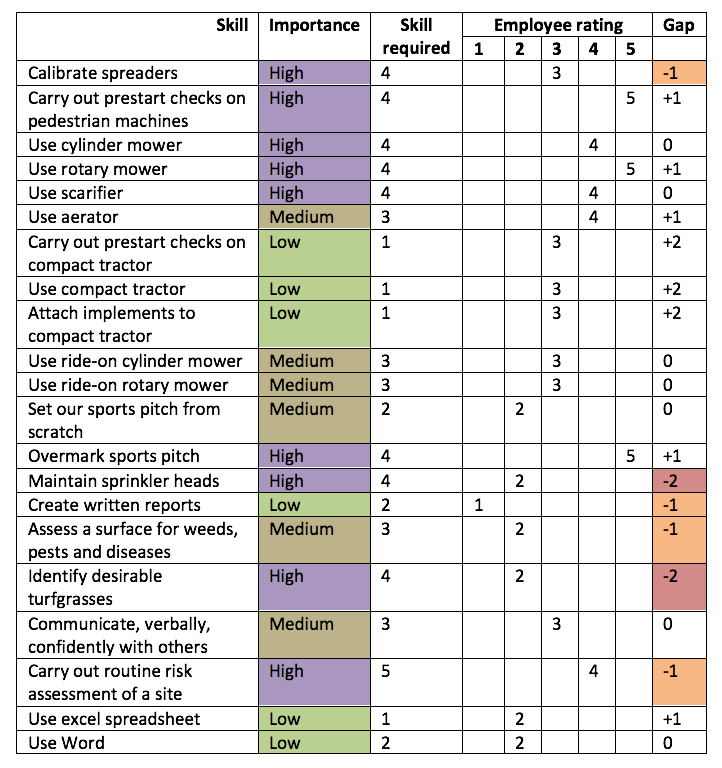 Skills Gap Analysis Example Template