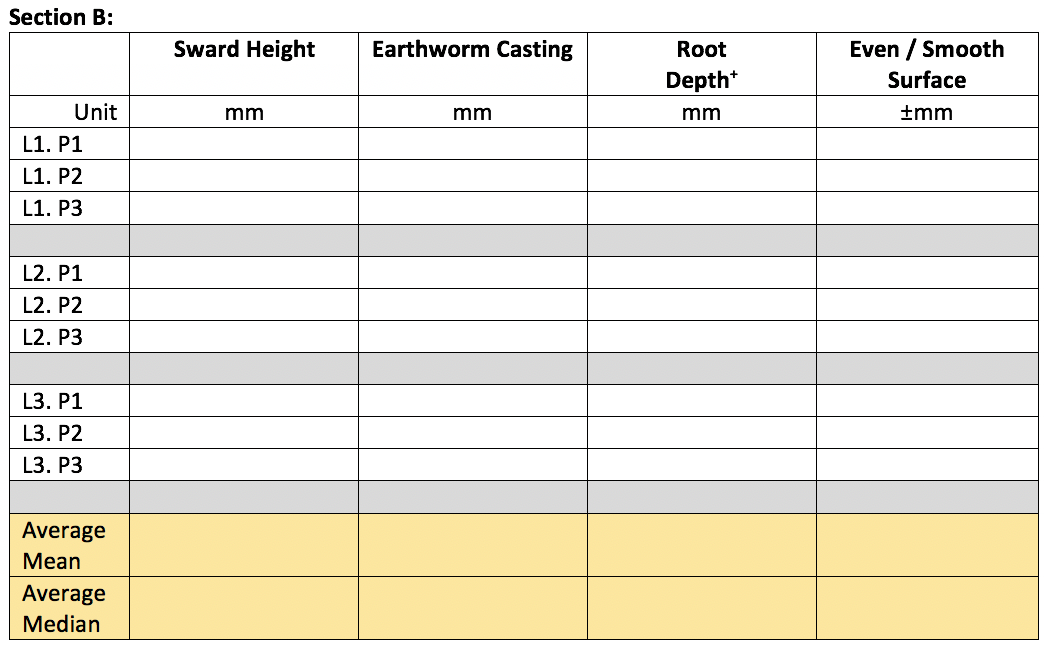 Assessment worksheet Section B