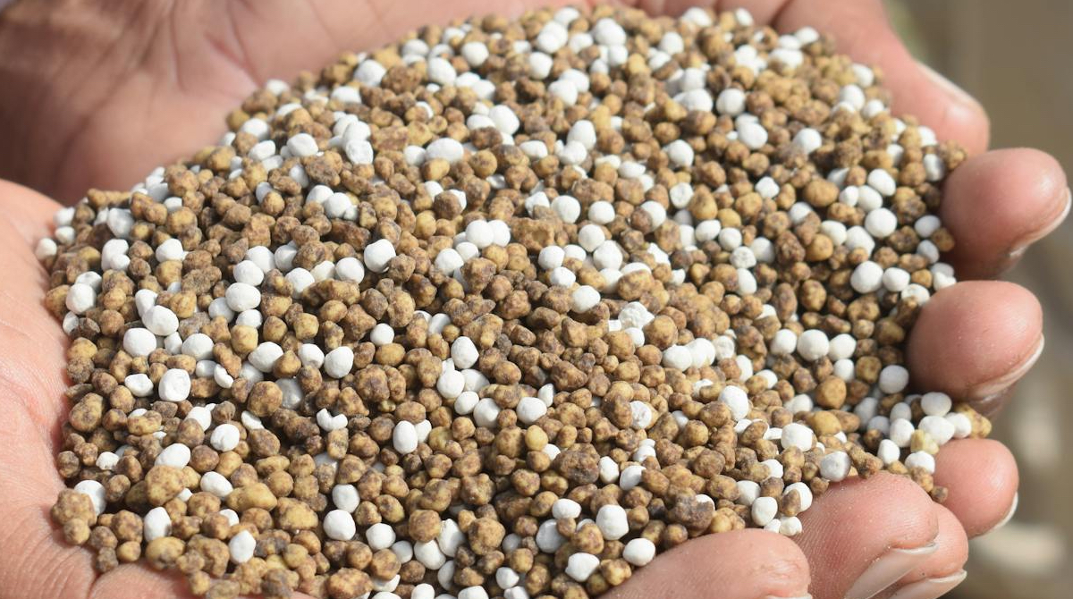 Introduction to groundskeeping