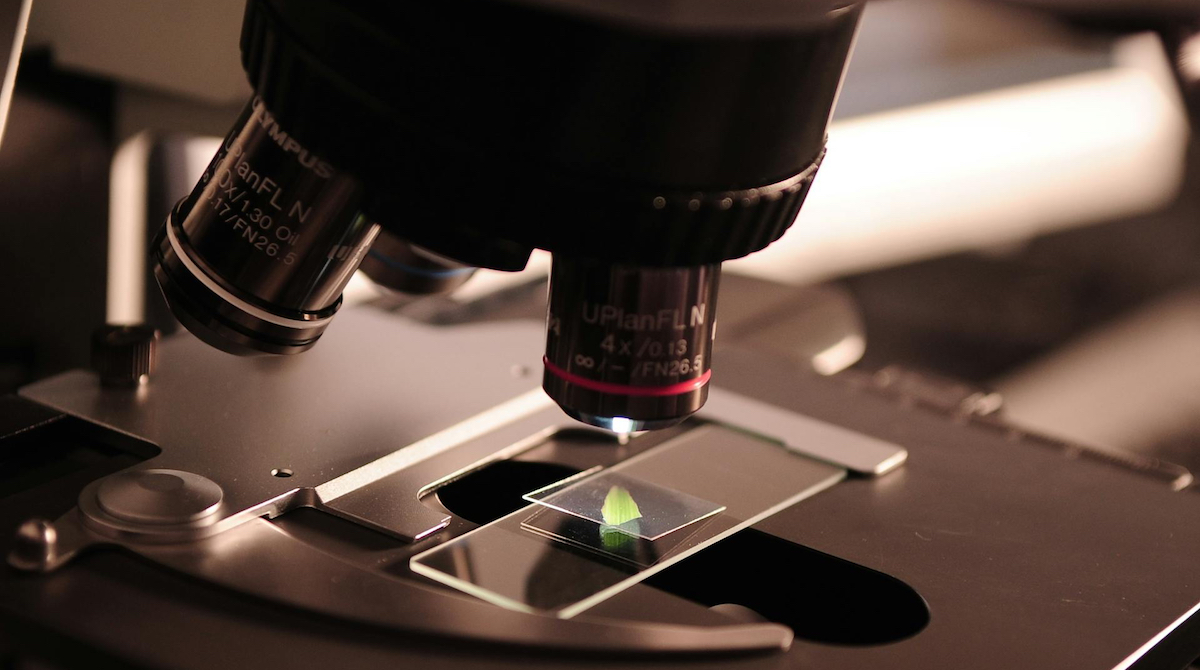 Employability Skills