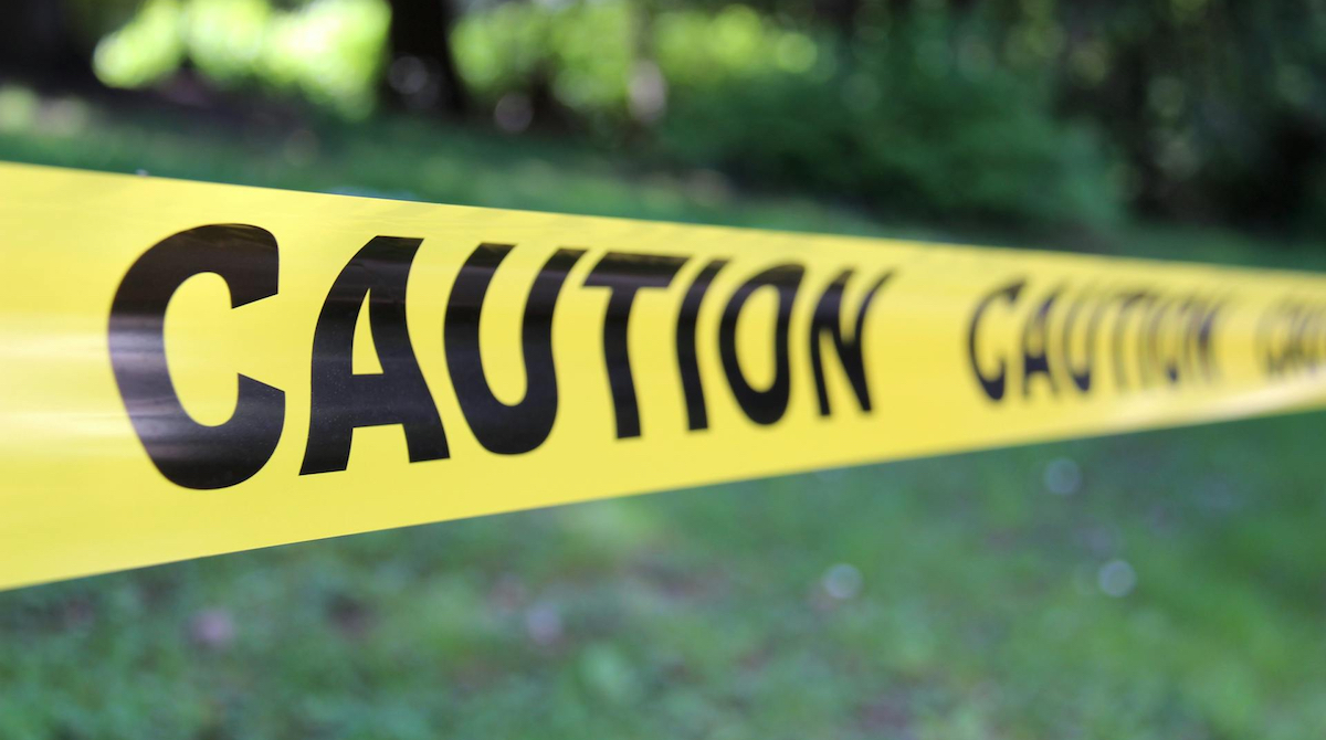 Employability Skills