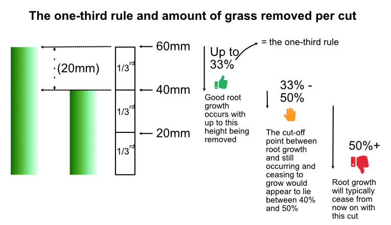 One-third mowing rule