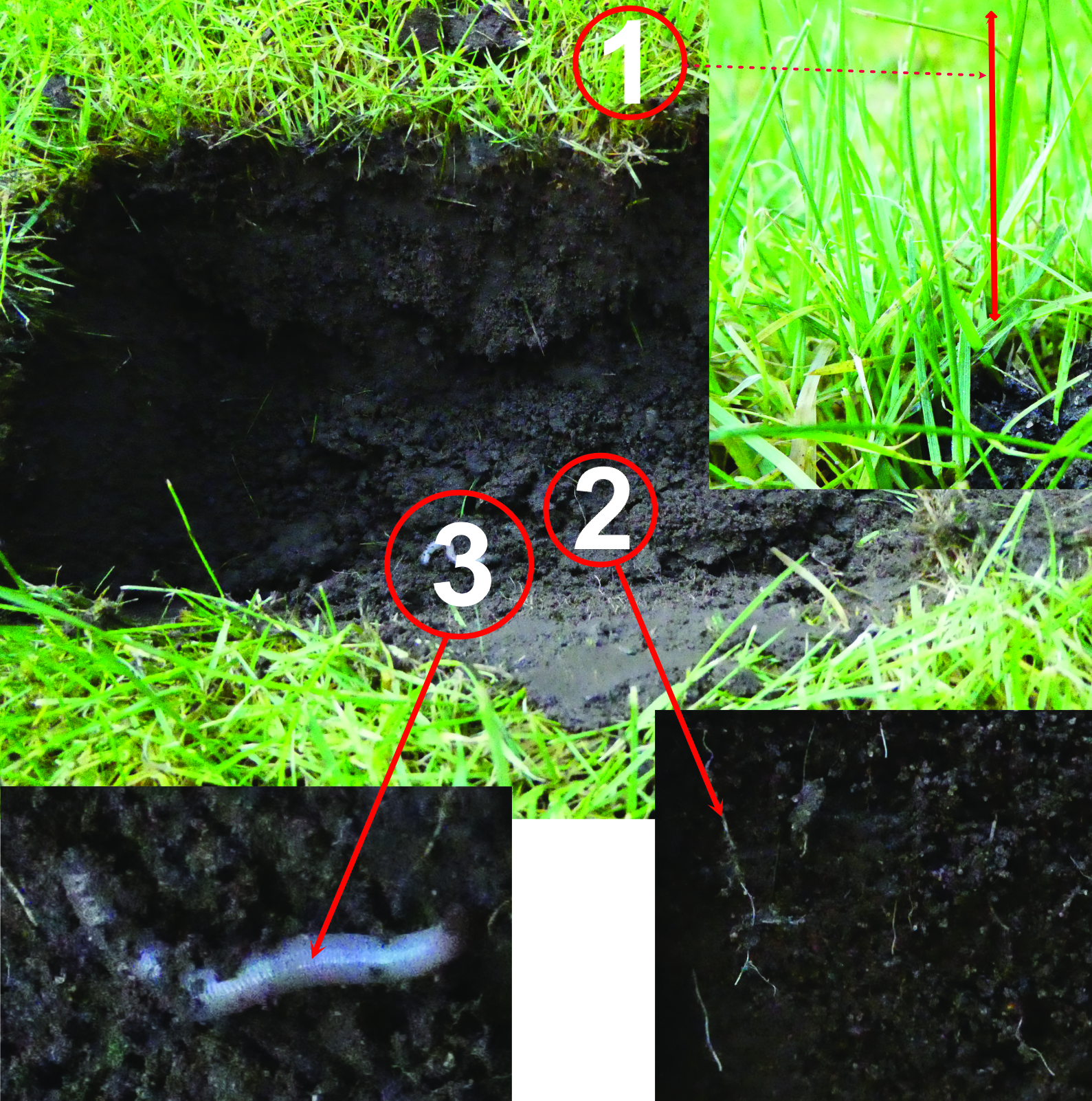 Football pitch profile