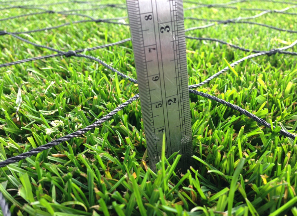 Measuring sward height