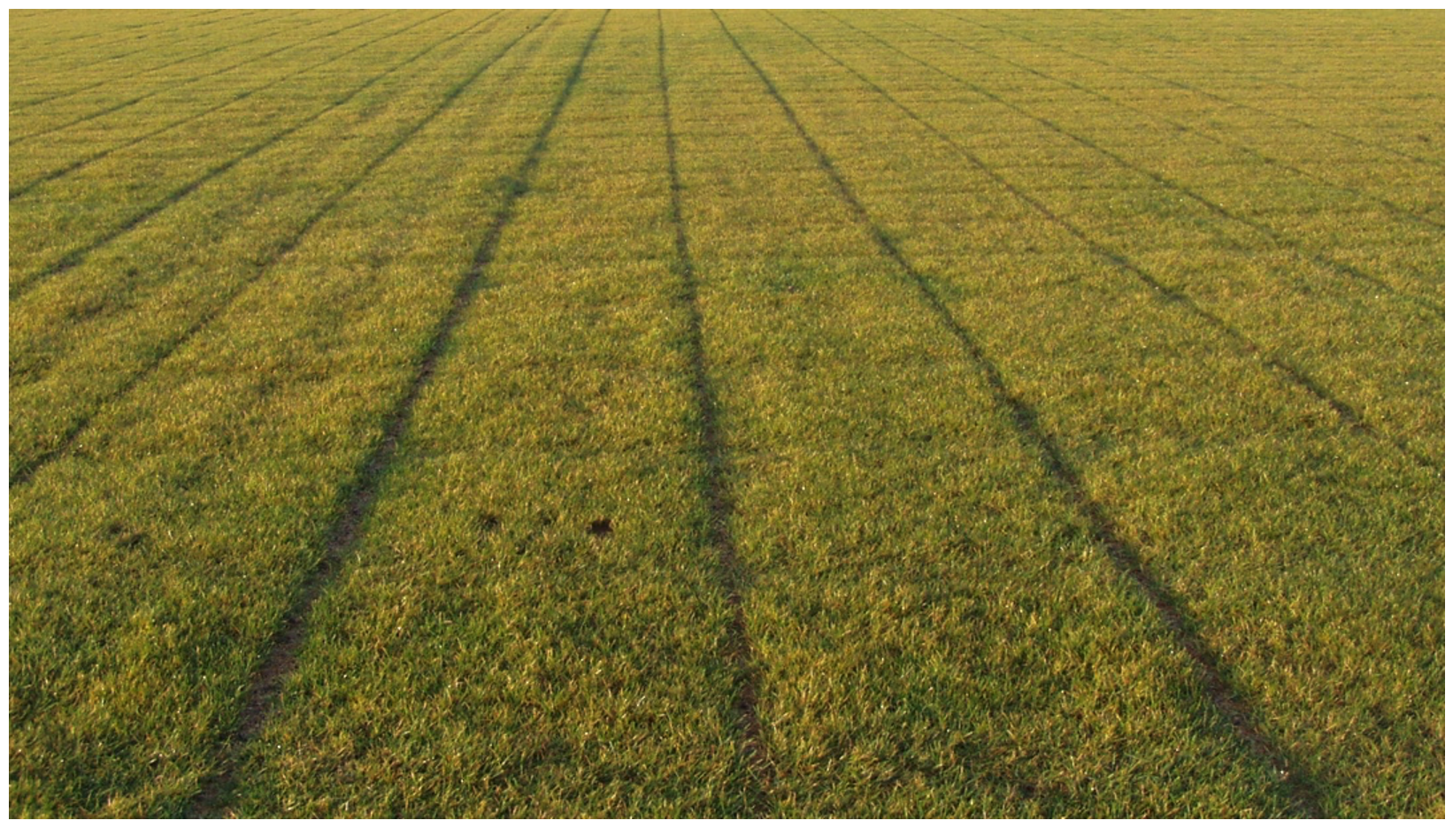 Inadequate colonisation of drainage slits